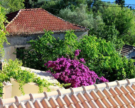 Homer's View Stavros (Ithaka)