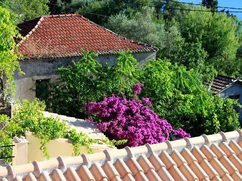 Homer's View Stavros (Ithaka)